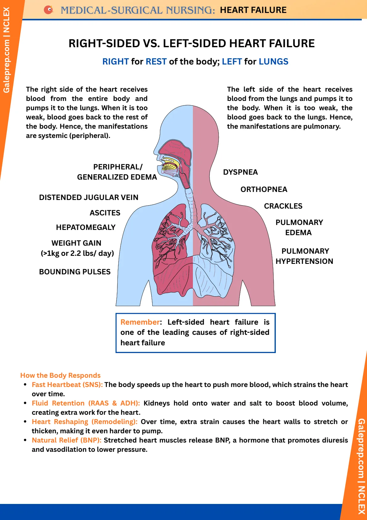 Heart Failure cheat sheet, page 2 of 4
